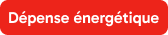 Dépense énergétique